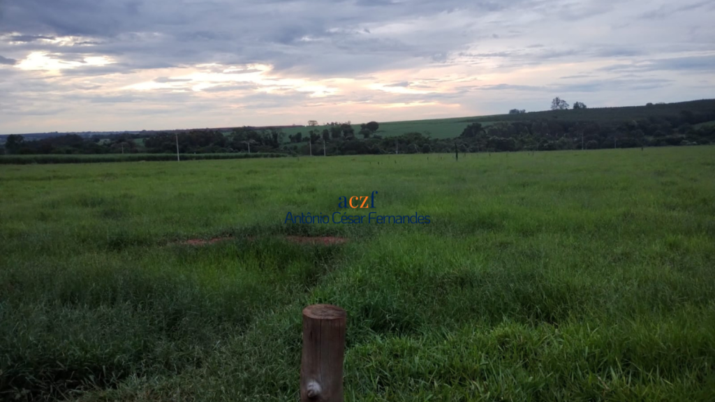 Sítio à venda – Onda Verde/SP