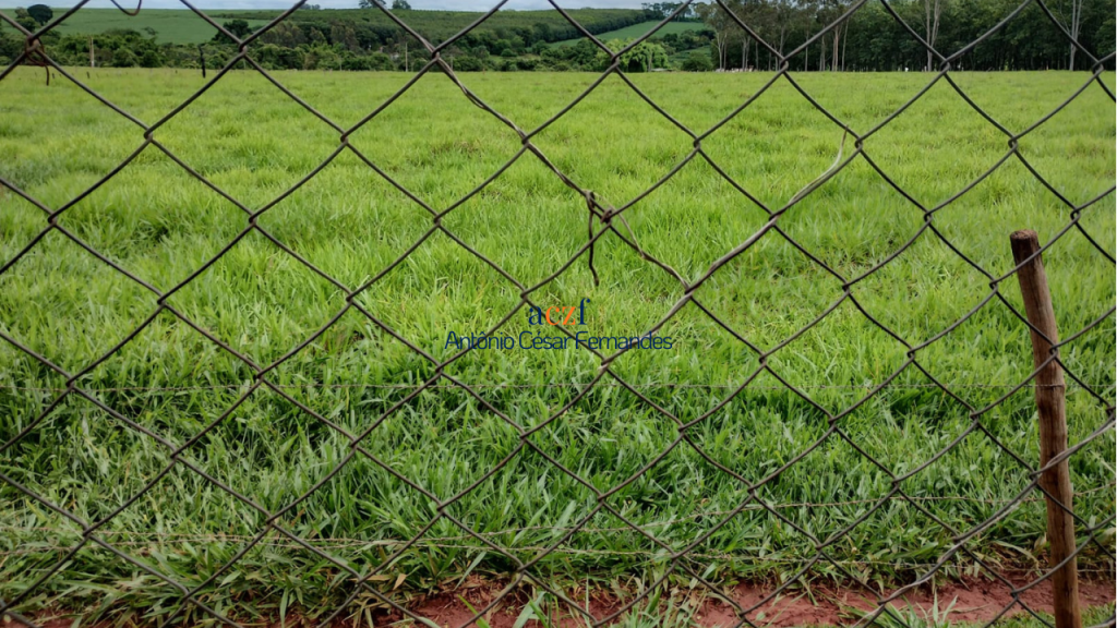 Sítio à venda – Onda Verde/SP