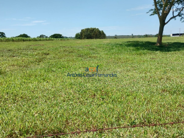 Sítio à venda – Onda Verde/SP